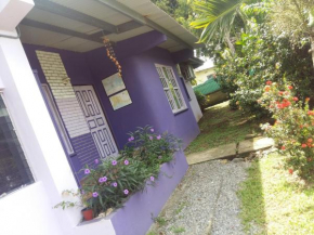 Purple House Hostel